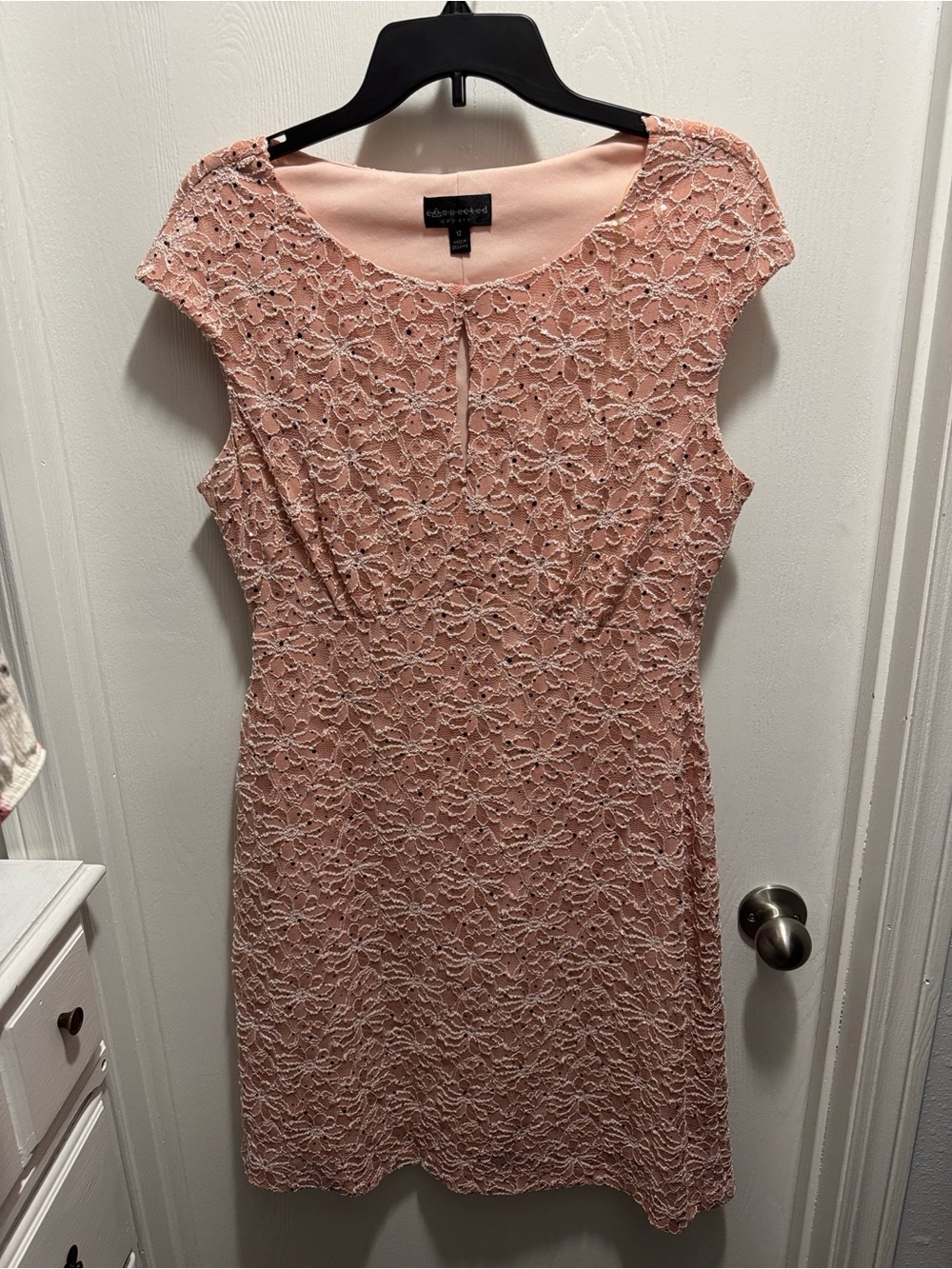 connected apparel Blush Lace Sheath Dress